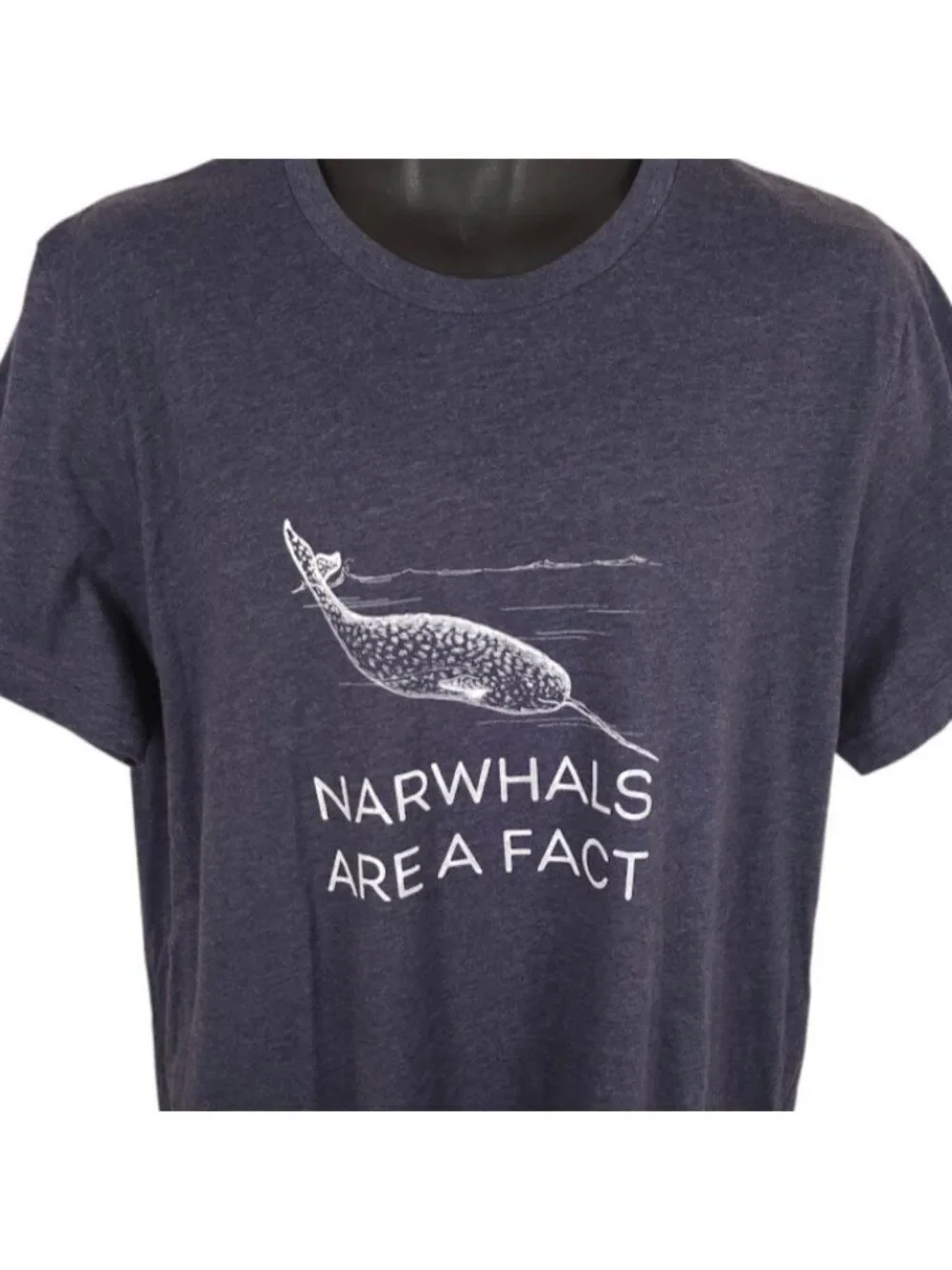 Narwhals Are A Fact T Shirt Mens Size XL Blue Gray Nature Animal Tee